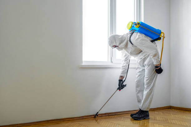 Best Residential Pest Control  in Abram, TX